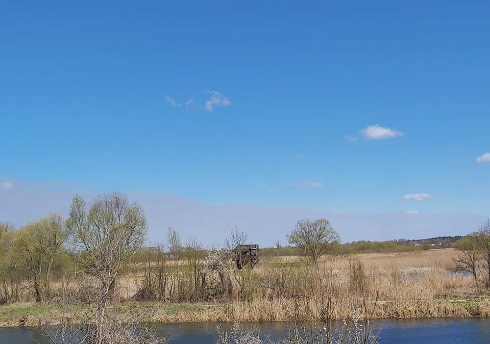 Dym znad Biebrzy stale unosi się nad Podlasiem