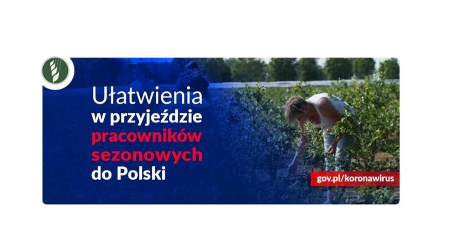 Ułatwienia w przyjeździe pracowników sezonowych do Polski