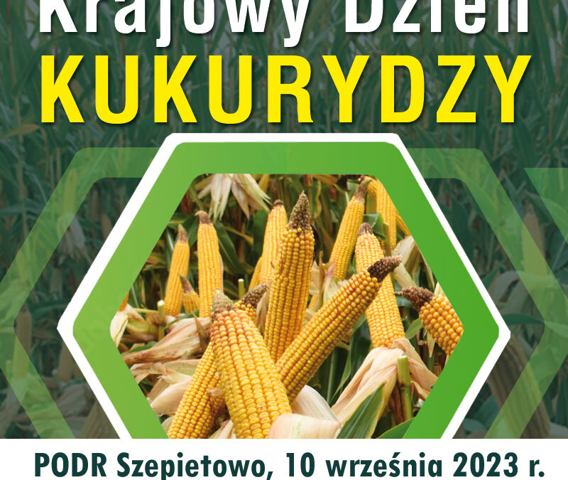 Krajowy Dzień Kukurydzy