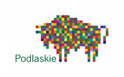 Informacja o pomocy finansowej z budżetu Województwa Podlaskiego na realizację zadania pn. „Budowa nowoczesnego miejsca rekreacji i integracji mieszkańców wsi Pajewo” w ramach „Programu odnowy wsi województwa podlaskiego – Kreatywna wieś”.