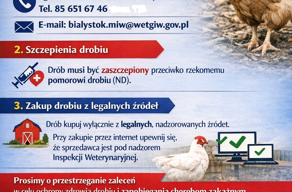 OGŁOSZENIE DLA MIESZKAŃCÓW – UTRZYMYWANIE DROBIU NA POTRZEBY WŁASNE