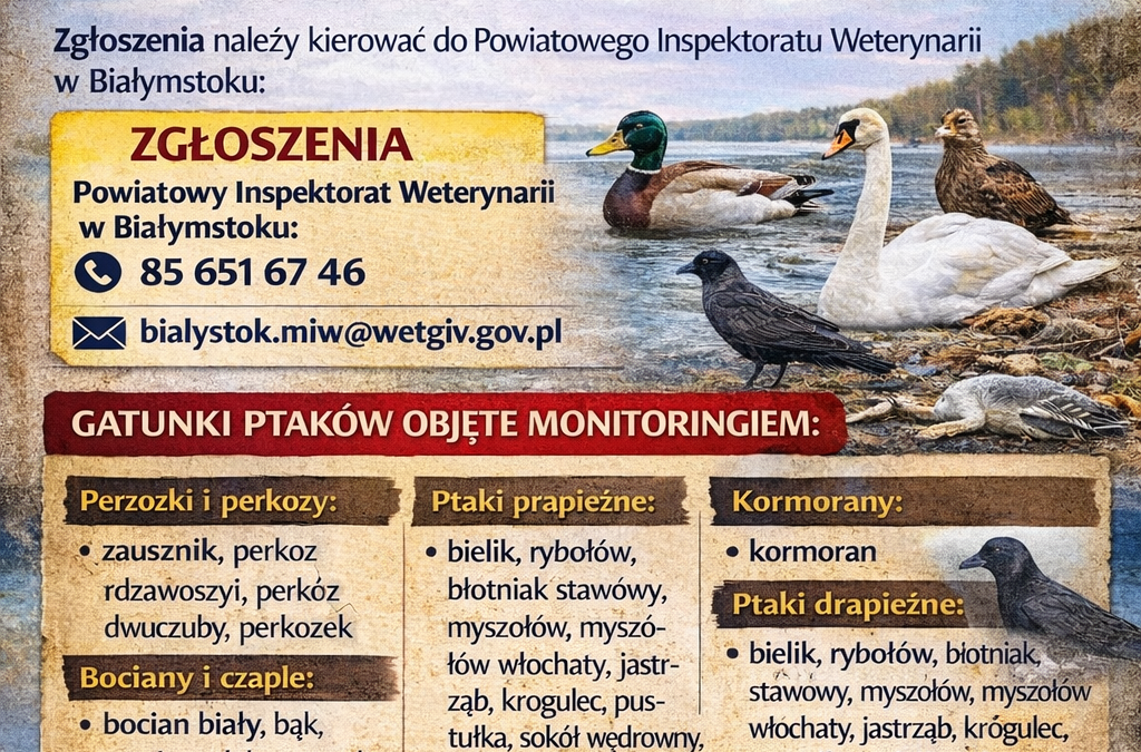 OGŁOSZENIE DLA MIESZKAŃCÓW – ZGŁASZANIE PADŁYCH PTAKÓW (GRYPA PTAKÓW)