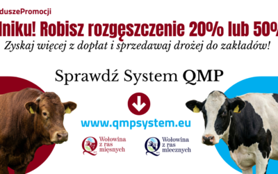 Informacja o systemie QMP