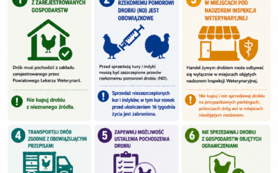 Komunikat dla hodowców i sprzedawców drobiu