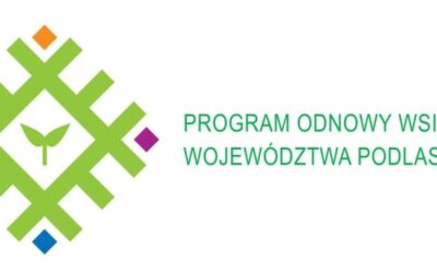 Pomoc finansowa dla Gminy Tykocin z budżetu Województwa Podlaskiego na realizację zadania pn. „Utworzenie innowacyjnej strefy rekreacji w Sawinie” w ramach „Programu odnowy wsi województwa podlaskiego – Kreatywna wieś”