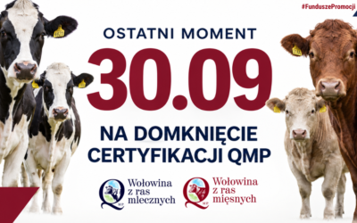 Certyfikat QMP — termin uzyskania upływa 30 września 2026 r.