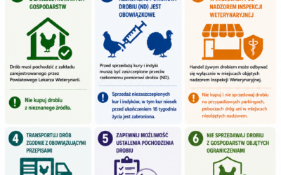 UWAGA ROLNICY I HODOWCY! ZAKUP DROBIU Z NIEZIDENTYFIKOWANYCH ŹRÓDEŁ W INTERNECIE MOŻE GROZIĆ ZAWLECZENIEM CHORÓB I SANKCJAMI.