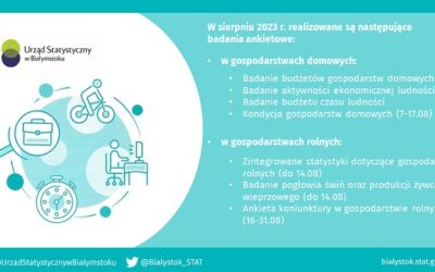 Badania ankietowe- sierpień 2023