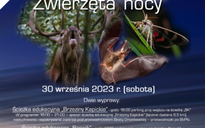 Zwierzęta Nocy