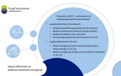 Badania ankietowe – grudzień 2023