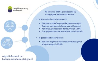 Badania ankietowe w gospodarstwach domowych