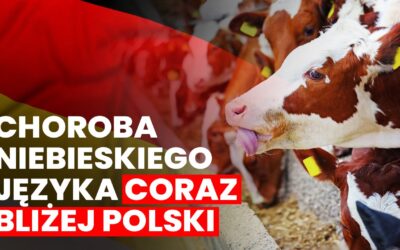 Informacja dotycząca choroby niebieskiego języka