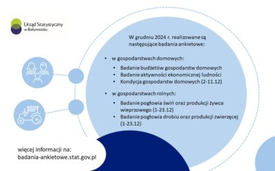 Badania ankietowe w gospodarstwach domowych