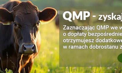 Bezpłatne webinary dla rolników