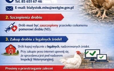 OGŁOSZENIE DLA MIESZKAŃCÓW – UTRZYMYWANIE DROBIU NA POTRZEBY WŁASNE