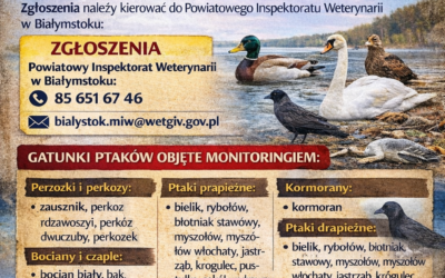 OGŁOSZENIE DLA MIESZKAŃCÓW – ZGŁASZANIE PADŁYCH PTAKÓW (GRYPA PTAKÓW)